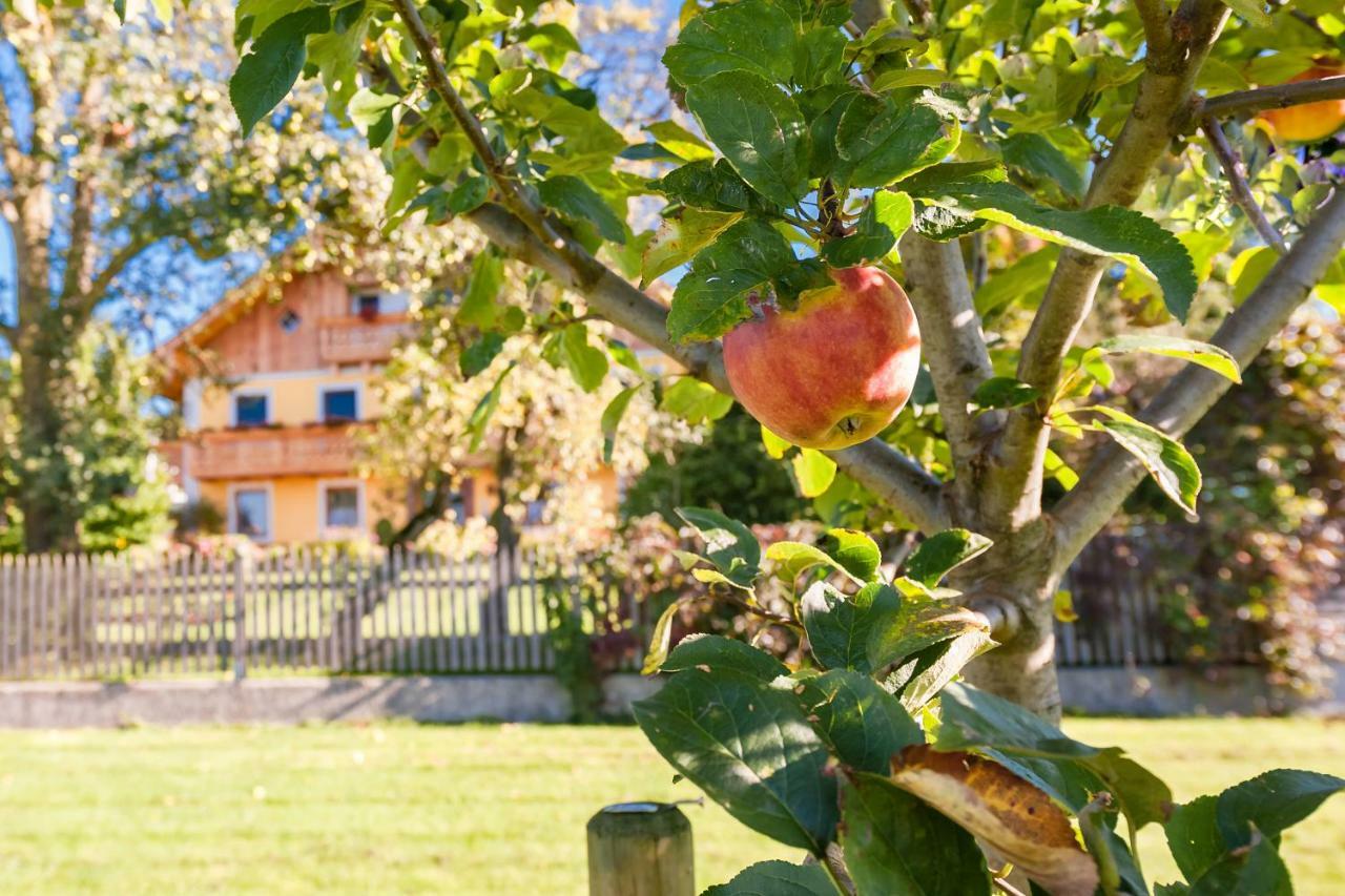 Girlinggut Schlafen Starten Salzburg Elixhausen Bagian luar foto